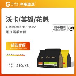 sinloy Coffee 辛鹿咖啡 sinloy 耶加雪菲套餐 250g