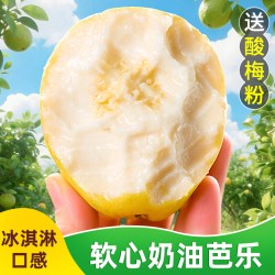 甘福园 白心芭乐正宗当季现摘云南新鲜水果口感绵密果肉柔滑软糯整箱包邮