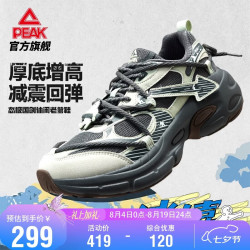 匹克 态极休闲鞋冰嬉秋季男潮流百搭运动鞋女耐磨减震运动鞋DE2640271