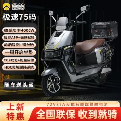 金箭 电动车天越RG507电动摩托车72V长续航大功率高速智能电动车
