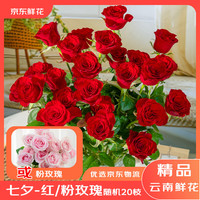 京东鲜花 七夕情人节云南基地直发20支玫瑰红玫瑰或粉玫瑰随机发货源头直发