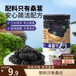 三只松鼠 罐装大果桑葚干250g四川黑桑椹泡水泡酒无沙无添加免洗