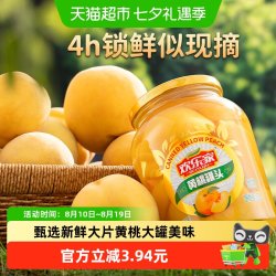 欢乐家 黄桃罐头 900g