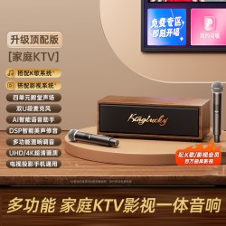 金运 K7 家用KTV音响一体机