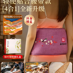 臻宛艾 同仁堂海盐热敷包电加热腰部专用盐袋护腰带粗盐理疗热敷袋旗舰店