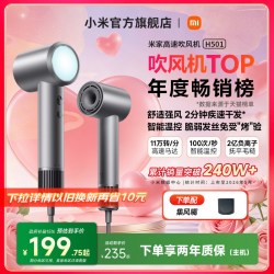 米家 GSH501系列 电吹风
