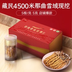 挖草人 正宗西藏那曲野生冬虫夏草官方旗舰店正品头期有机虫草礼盒