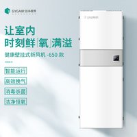 空净视界 空净健康壁挂式新风机650款家用净化除甲醛除雾霾PM2.5