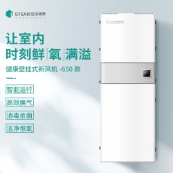 空净视界 空净健康壁挂式新风机650款家用净化除甲醛除雾霾PM2.5