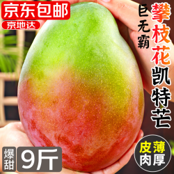 京地达 海南贵妃芒果 净重8斤 200g+超大果