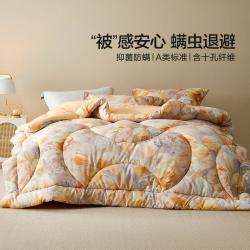 水星家纺 A类抑菌十孔纤维被子加厚保暖被芯子母被芯暖气宿舍被子被芯
