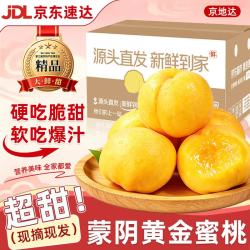 京地达 斯可沁 龙泉驿水蜜桃 新鲜桃子水果礼盒装当季爆汁撕皮吃12个装 包装随机