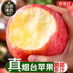 京地达 烟台苹果红富士 净重8.6斤果径85mm+ 苹果水果脆甜新鲜源头直发
