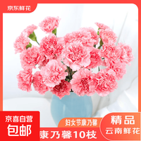 京喜 3-8妇女节随机色康乃馨10枝女神节鲜花生活鲜花昆明直发 随机色康乃馨10枝