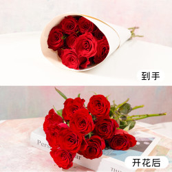 京东鲜花 红色玫瑰花 20枝