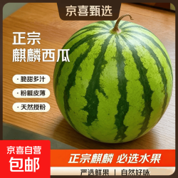 京东 冰糖正宗麒麟西瓜新鲜应季美都整箱现摘有籽黑籽西瓜 8-10斤