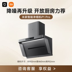 米家 P1 Pro系列 CXW-165-MJ04C 侧吸式吸油烟机 星辰银
