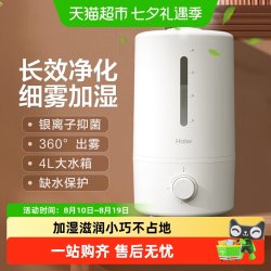 海尔 加湿器家用卧室小型孕妇婴儿办公室桌面补水抑菌净化空气