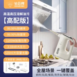钻石牌 新款家用蒸汽清洁机多功能蒸汽机厨房卫生高温高压清洗机