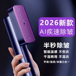 小巢糖 手持挂烫机2026新款熨烫机家用小型蒸汽电熨斗便携式神器