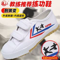 鲁泰 儿童武术专用鞋小学生运动鞋跑步鞋田径鞋魔术贴软底帆布鞋男