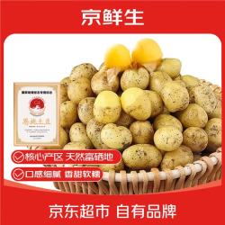 京鲜生 恩施小土豆 3斤 单果约10-30g 新鲜黄心土豆 马铃薯洋芋 源头直发 迷你果（硬币大小）3斤