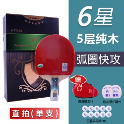729 乒乓球拍9星金标7星6星球拍友谊六星专业级九星芳基碳素横直拍