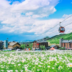 吉林松花湖瞻云SALOMON酒店2晚+2大1小缆车观光往返体验+欢迎水果+延迟退房(视房态决定)+王子游泳馆体验+...