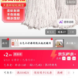 美家生活 木杆拖把 棉线胶棉拖布海绵拖把洗车 平板酒店大堂老式墩布尘推 白色棉线圆钢头拖把
