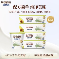 每日鲜酪 低温酸奶牛油果风味发酵乳