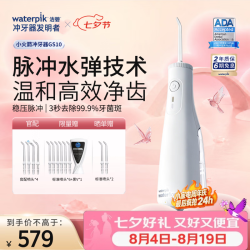 waterpik GS10-1 冲牙器