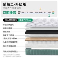 雅兰 儿童床垫 蘭精灵升级版