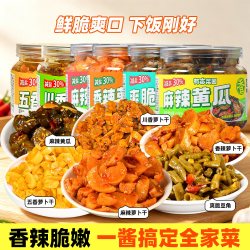 有亩菜园 酸豆角罐装酱菜麻辣黄瓜大罐装榨菜香辣麻辣萝卜干下饭菜