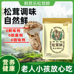 鲜昇乐松茸鲜 家用炒菜凉拌煲汤提鲜调味品