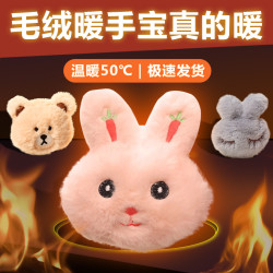可爱毛绒暖手宝便捷替换芯学生儿童暖宝宝手握冬季取暖迷你暖身贴