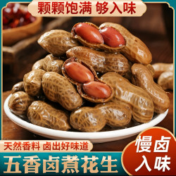 带汁卤煮花生带壳五香盐水花生香辣花生下酒菜夜宵