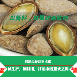 跨越 安徽潜山天柱山特产精品特大9号籽245g袋装瓜蒌籽非吊瓜子