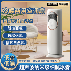 帝仕尼 冷暖风机家用遥控水空调喷雾小型空调扇立式智能定时加湿风扇两用