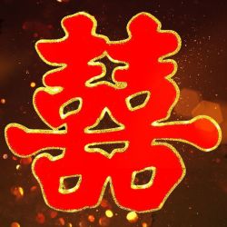 婚庆用品大全喜字门贴结婚用品婚房卧室装饰喜字贴纸窗花剪纸喜字