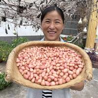 2025新白沙花生米 500g/包发三斤