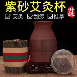 紫砂罐小灸罐送全套工具家用艾灸器具手持式随身灸