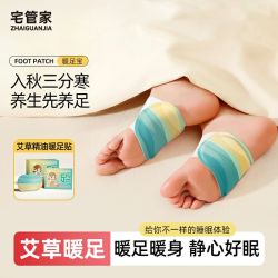 宅管家 艾草暖足贴暖脚神器鞋垫艾灸贴睡觉蒸汽发热生姜女脚底护足