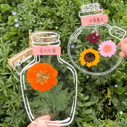 瓶子里的秋天透明贴纸玻璃瓶创意干花书签收集树叶标本