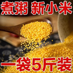 农家新鲜黄小米熬粥米油丰富的优质五谷杂粮D