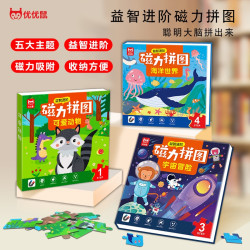 奋天书院 儿童宝宝益智玩具早教益智玩具3-6岁智力玩具幼儿园磁力拼图拼图Z