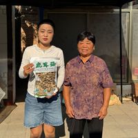 新鹿茸菇1斤装