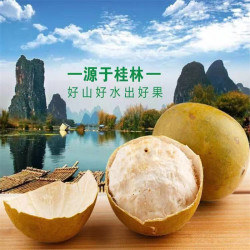 老沿河广西罗汉果独立包装低温脱水美味52-60毫米大果
