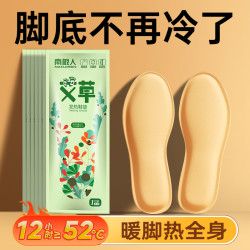 南极人 艾草自发热鞋垫女免充电加热鞋垫可行走暖足贴足部保暖神器