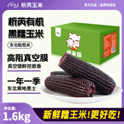 析芮 新鲜真空装黑糯玉米美味甜软糯黏苞米早餐