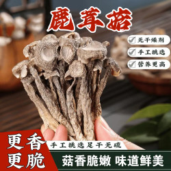 鹿茸菇干货100克/袋口感脆嫩营养丰富煲汤炖肉菌类干货